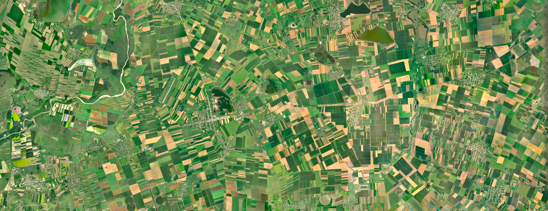 zdjęcie satelitarne przedstawiające pola